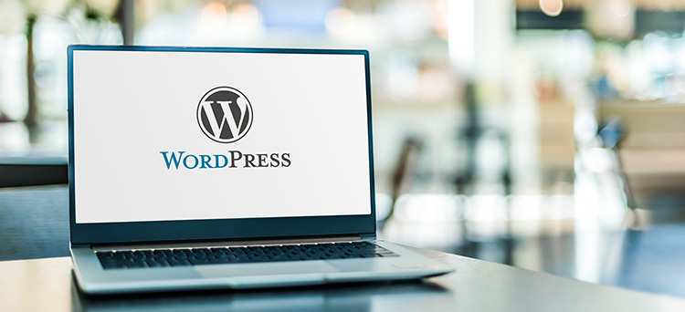 WordPress Website Hero Image