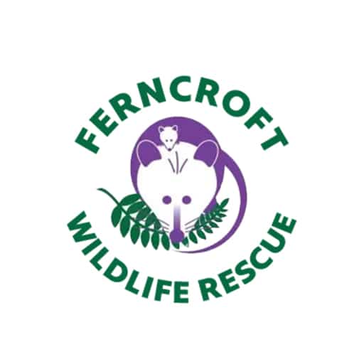 Ferncroft Logo
